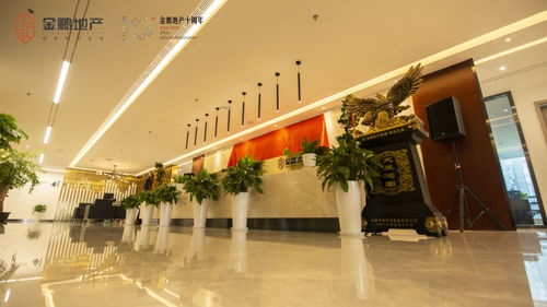 鵬程之志立此廬州 金鵬地產(chǎn)集團5月11日正式遷址合肥