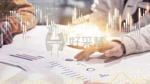 企業集中采購適用范圍和特點有哪些