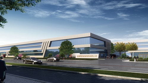 金鵬筑工集團常務副總裁吳心勇 營銷只是手段 產品本身才是策略