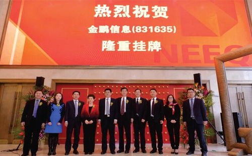 河南金鵬信息技術(shù)